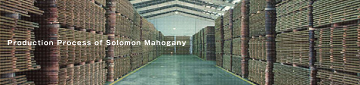 Production Process of Solomon Mahogany