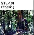 Step 01 Stocking