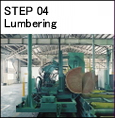 Step 04 Lumbering