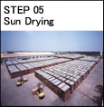 Step 05 sun Drying
