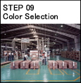 Step 09 Color Selection
