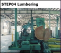Step 04 Lumbering